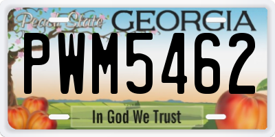 GA license plate PWM5462