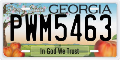 GA license plate PWM5463