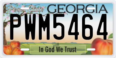 GA license plate PWM5464