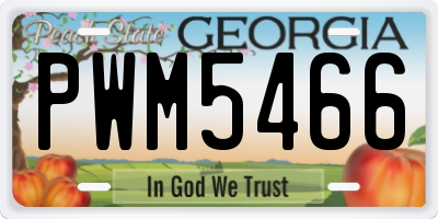 GA license plate PWM5466