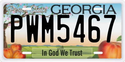 GA license plate PWM5467