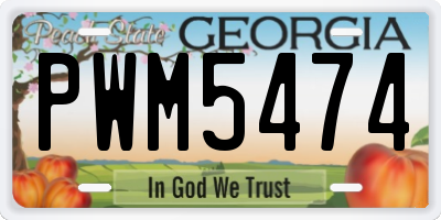 GA license plate PWM5474