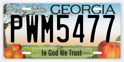 GA license plate PWM5477