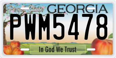 GA license plate PWM5478