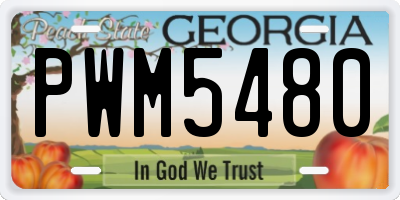GA license plate PWM5480