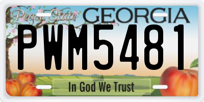 GA license plate PWM5481