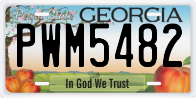 GA license plate PWM5482