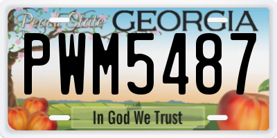 GA license plate PWM5487