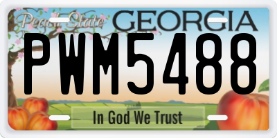 GA license plate PWM5488