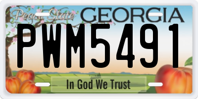 GA license plate PWM5491