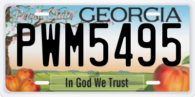 GA license plate PWM5495