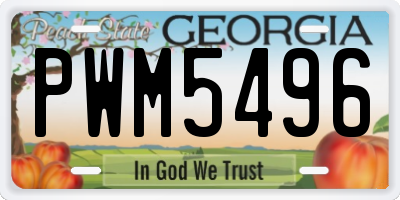 GA license plate PWM5496