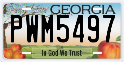 GA license plate PWM5497