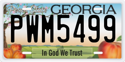 GA license plate PWM5499