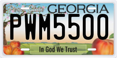 GA license plate PWM5500