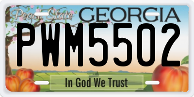 GA license plate PWM5502