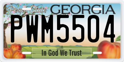 GA license plate PWM5504