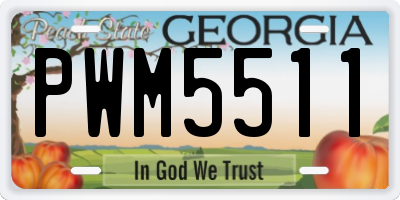 GA license plate PWM5511