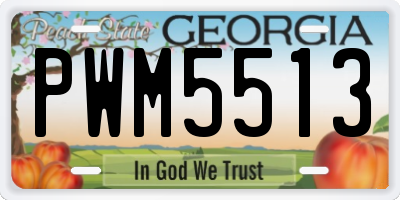 GA license plate PWM5513