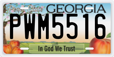 GA license plate PWM5516