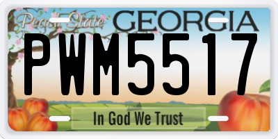 GA license plate PWM5517