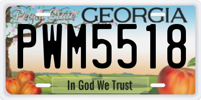 GA license plate PWM5518