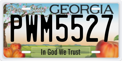 GA license plate PWM5527