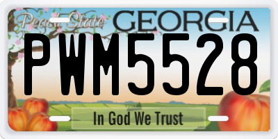 GA license plate PWM5528