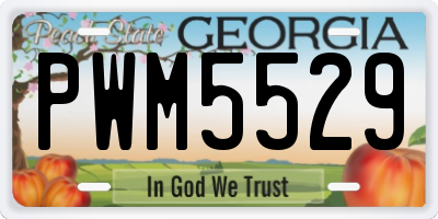 GA license plate PWM5529