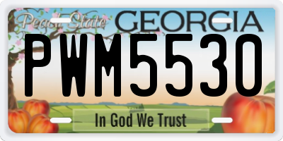 GA license plate PWM5530