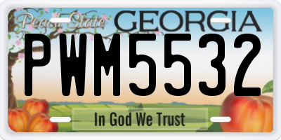 GA license plate PWM5532