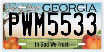 GA license plate PWM5533