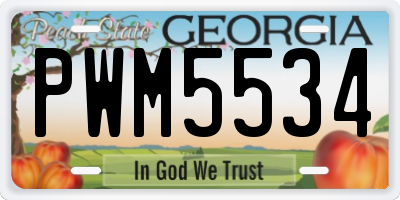 GA license plate PWM5534