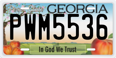 GA license plate PWM5536