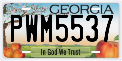 GA license plate PWM5537