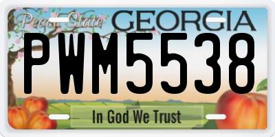 GA license plate PWM5538