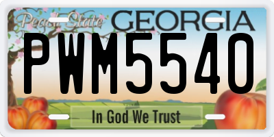 GA license plate PWM5540