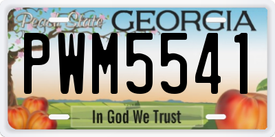 GA license plate PWM5541