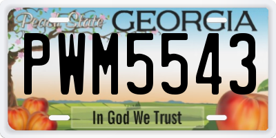 GA license plate PWM5543