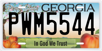 GA license plate PWM5544