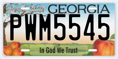 GA license plate PWM5545