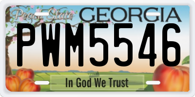 GA license plate PWM5546