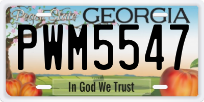 GA license plate PWM5547