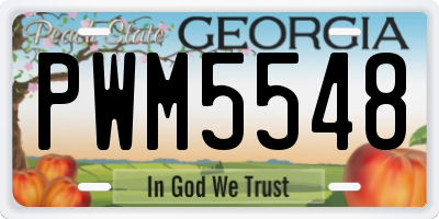 GA license plate PWM5548