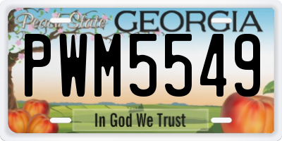 GA license plate PWM5549