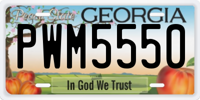 GA license plate PWM5550
