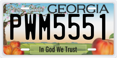 GA license plate PWM5551