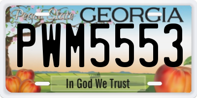GA license plate PWM5553