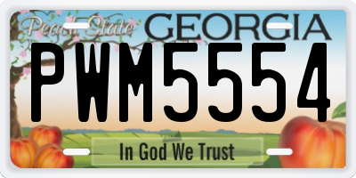 GA license plate PWM5554