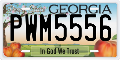 GA license plate PWM5556